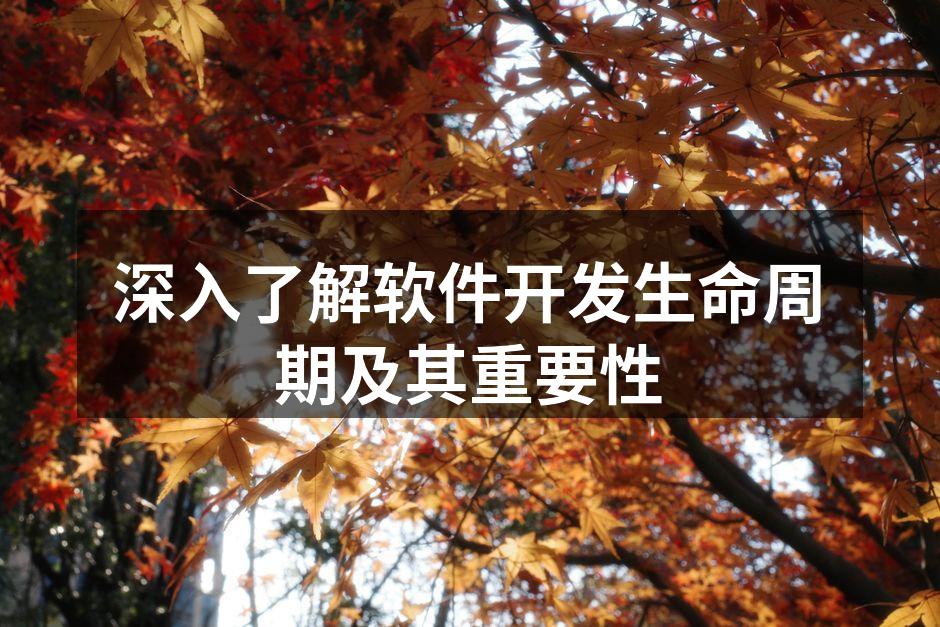 深入了解软件开发生命周期及其重要性