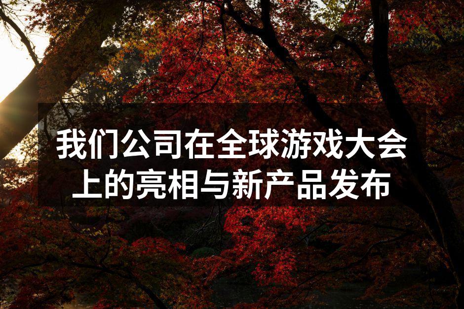 我们公司在全球游戏大会上的亮相与新产品发