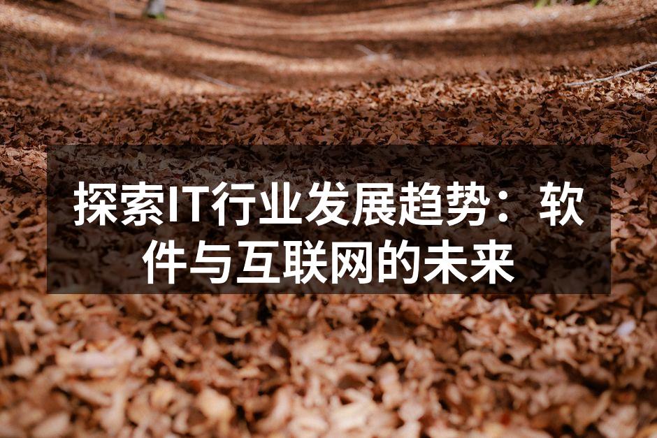 探索IT行业发展趋势:软件与互联网的未来