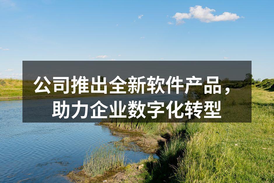 公司推出全新软件产品,助力企业数字化转型